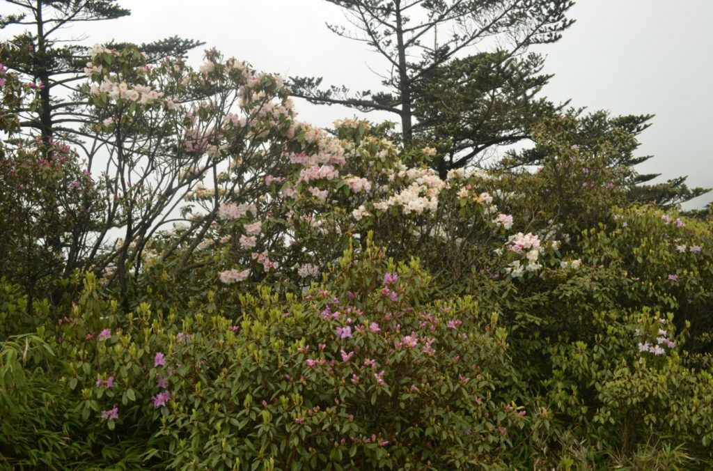 《佛静山穿越大相岭清溪古道》